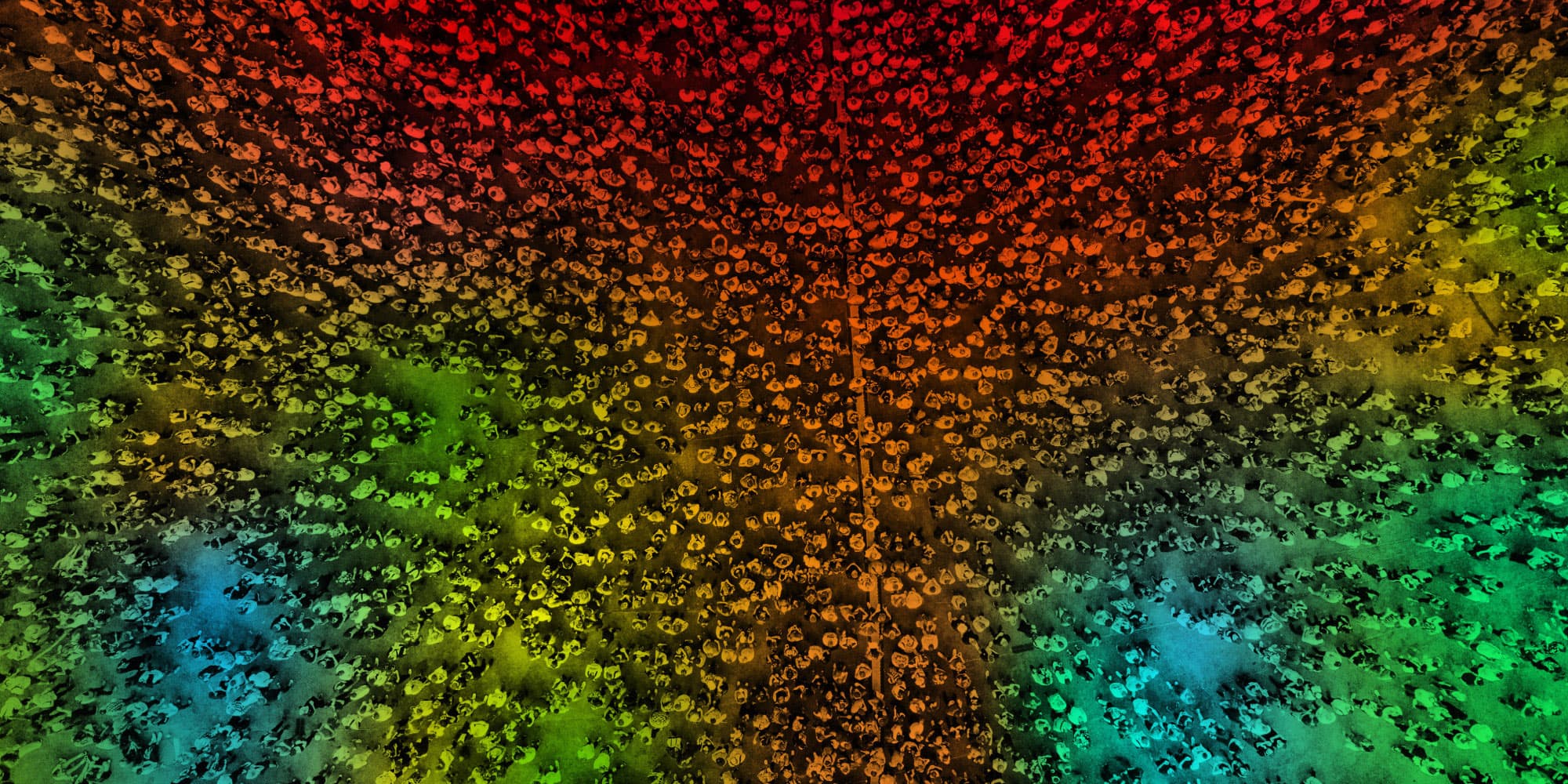 crowdscan